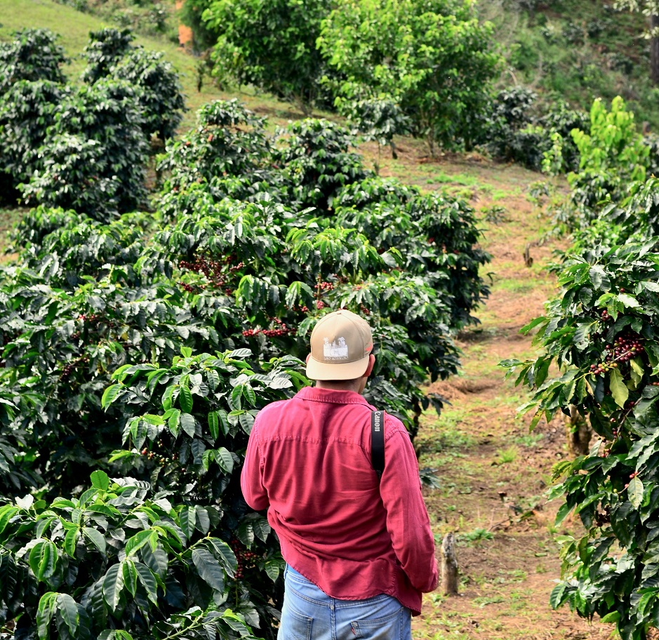 coffee grower in field