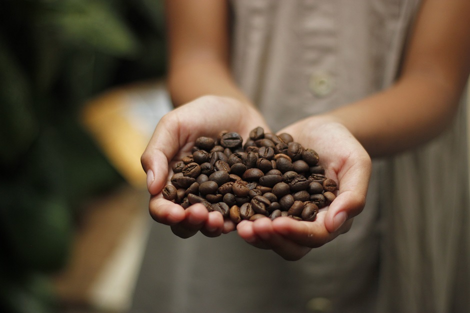 girl holding fairtrade coffee beans